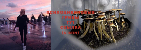 мдпв Волосово