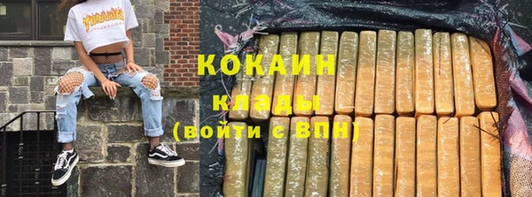 мдпв Волосово