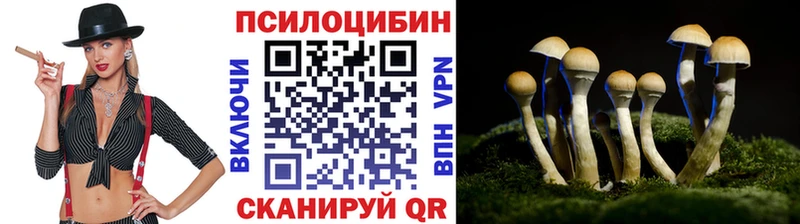 купить   Красноярск  Псилоцибиновые грибы Magic Shrooms 